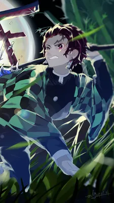 Обои ID: 327394 / Аниме Убийца Демонов: Kimetsu no Yaiba Phone Wallpaper, Tanjiro Kamado, 1440x2560 скачать бесплатно картинки