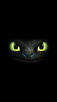 Обои Беззубик | Toothless wallpaper, How train your dragon, Toothless картинки