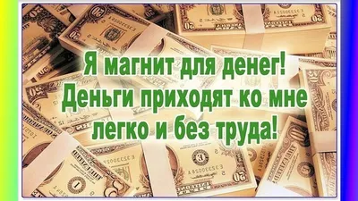 Пусть деньги летят к вам как пчёлы на мёд и пусть вам всегда везёт |  Деньги, Молитвы, Смешно картинки