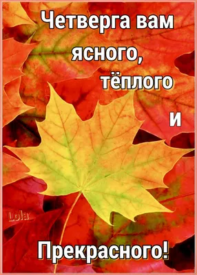 Пин от пользователя Pinner на доске ВОТ, ОТКРЫТКИ, КАРТИНКИ И ЦВЕТЫ |  Четверг, Доброе утро, Осенние картинки картинки