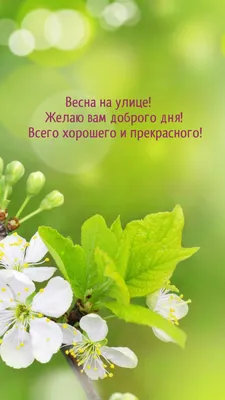 Картинка: Весна на улице! Желаю вам доброго дня! картинки