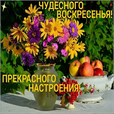 доброе утро хорошего воскресного дня: 2 тыс изображений найдено в Яндекс  Картинках картинки