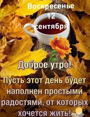 💐Olga brosh🌺💥 Twitter वर: \ картинки