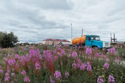 ЧУМотека: Лимпопо от Зины По, или Как ЧУМработница фотомоделью работала картинки