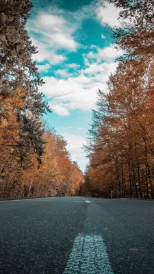 В хорошем качестве картинки