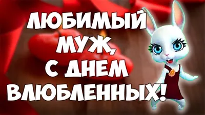 Красивые картинки для мужа (20 фото) 🔥 Прикольные картинки и юмор картинки