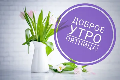 Картинки с добрым утром пятницы — 🎁 Скачать бесплатно картинки с  пожеланиями на Pozdravim-vseh.ru картинки