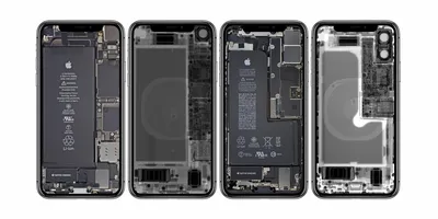 iFixit выпускает забавные рентгеновские и внутренние обои для iPhone XR, XS также доступны картинки