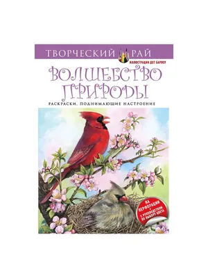 Волшебство природы. Раскраски, поднимающие настроение (с перфорацией) Эксмо  2819457 купить в интернет-магазине Wildberries картинки