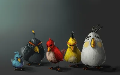 Пять птичек из angry birds на сером фоне - обои на рабочий стол картинки