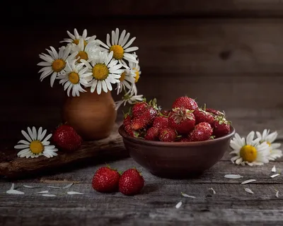 Летние радости. Фотограф Наталья Кабачек картинки