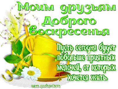 доброе утро хорошего воскресного дня: 1 тыс изображений найдено в Яндекс  Картинках картинки