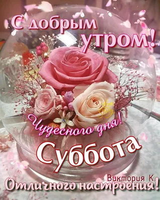 Идеи на тему «Доброе утро субботы» (360) | доброе утро, субботы, открытки картинки