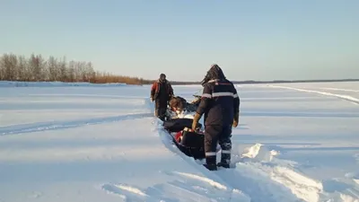 В Пуровском районе в тундре застряли два снегохода с людьми | Ямал-Медиа картинки