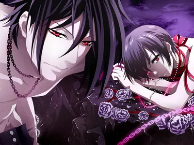 Скачать обои Kuroshitsuji, Sebastian Michaelis, Ciel Phantomhive, Dark Butler, раздел сёнэн в разрешении 2048x1536 картинки