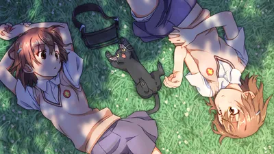 Download Anime Mikoto Misaka Cat Wallpaper картинки