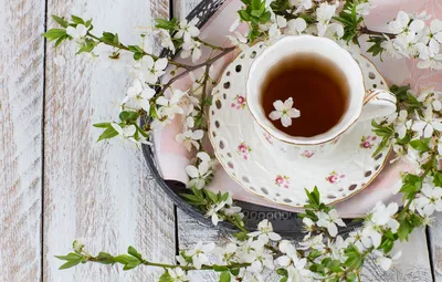 Обои весна, цветение, blossom, flowers, cup, spring, tea, чашка чая  картинки на рабочий стол, раздел цветы - скачать картинки