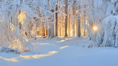 Зимние стихи о любви картинки