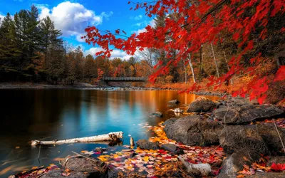 Обои осень, осенние обои, картинки осени скачать. HD wallpapers autumn картинки