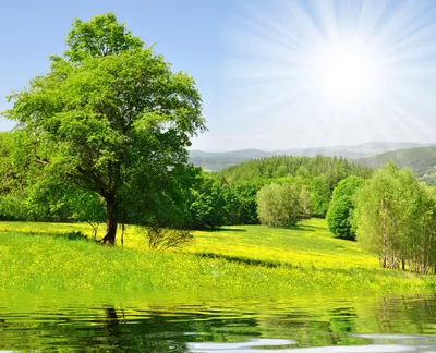 Wallpaper Green Grass Field and Trees Beside River Under Blue Sky During  Daytime, Background - Download Free Image картинки