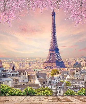 paris #france #art #eiffel #travel | Картинки парижа, Эйфелева башня  живопись, Фотография парижа картинки