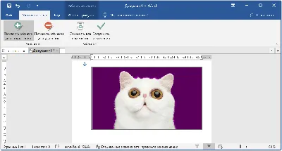 Удаление фона на изображениях при помощи Microsoft Word картинки
