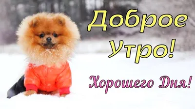 ДОБРОЕ УТРО! ЛУЧШИЕ ПОЖЕЛАНИЯ С ДОБРЫМ УТРОМ! КРАСИВАЯ МУЗЫКАЛЬНАЯ ОТКРЫТКА  С ПОЖЕЛАНИЯМИ С. Чекалин - YouTube картинки