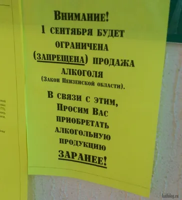 1 сентября в России - Приколисты - 28 августа - 43158054654 -  Медиаплатформа МирТесен картинки