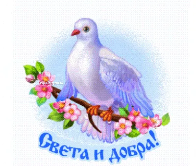 С Благовещением! Света и добра! | Cute good night, Gif greetings, Love gif картинки