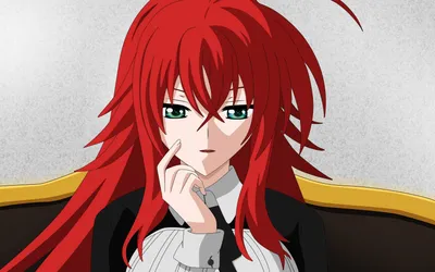 Скачать обои High School DXD, Rias Gremory, японская манга, демоны, персонажи, школа, главный герой для монитора с разрешением 2560x1600. картинки на рабочий стол картинки