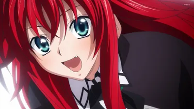 Риас Гремори - High School DxD [2] обои - Аниме обои - #29299 картинки