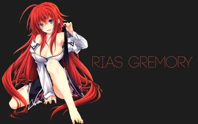 Скачать обои Rias Highschool Dxd Poster Wallpaper картинки