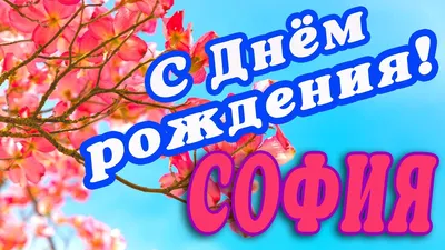 🌸 СОФИЯ С ДНЕМ РОЖДЕНИЯ / С ДНЕМ РОЖДЕНИЯ СОФИЯ / С ДНЁМ РОЖДЕНИЯ /  ОТКРЫТКИ С ДНЕМ РОЖДЕНИЯ - YouTube картинки