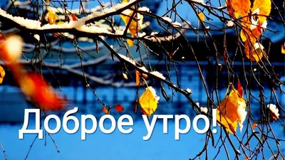 Картинки с добрым утром ноября (50 лучших фото) картинки