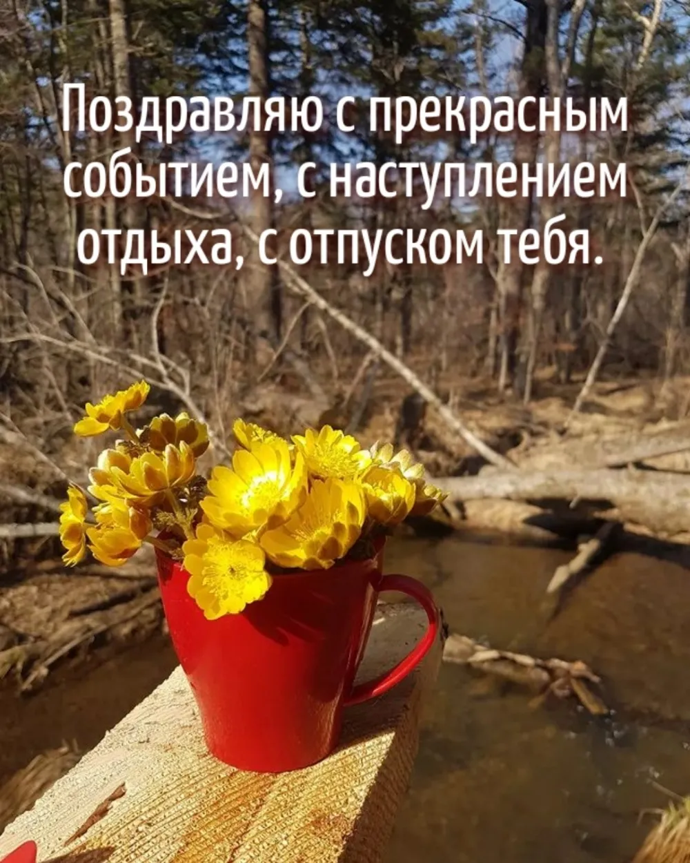 С отпуском картинки