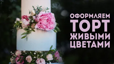 Велюровый торт с живыми цветами. Как украсить торт цветами? Все тонкости  работы в одном видео - YouTube картинки