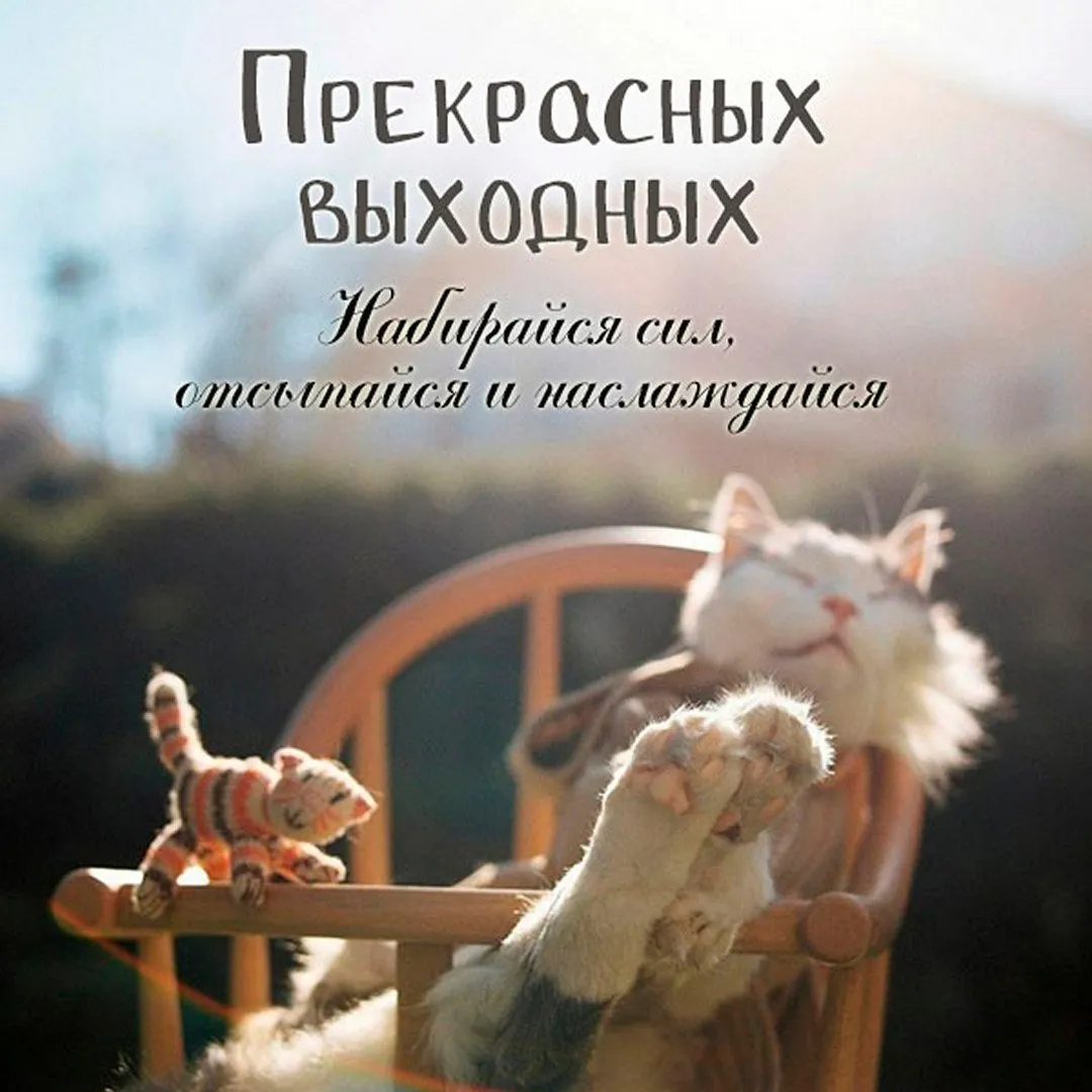 Смешной хороших выходных прикольные картинка #489325 - Открытки с ...