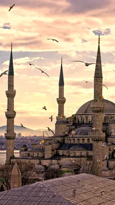 Скачать обои Istanbul, Turkey, Стамбул, Город, Мечеть султанахмет, Турция в  разрешении 1080x1920 на рабочий стол картинки