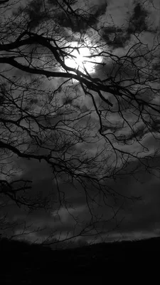 Тёмные обои | Moon photography, Dark black wallpaper, Dark photography |  Dark landscape, Dark black wallpaper, Iphone background art картинки