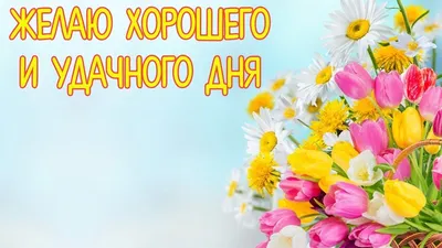 Удачного дня для мужчины картинки