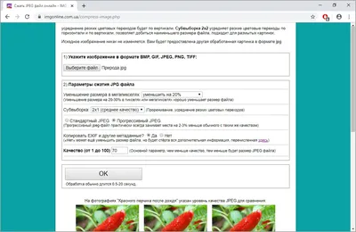 Как уменьшить размер файла JPG быстро и бесплатно картинки