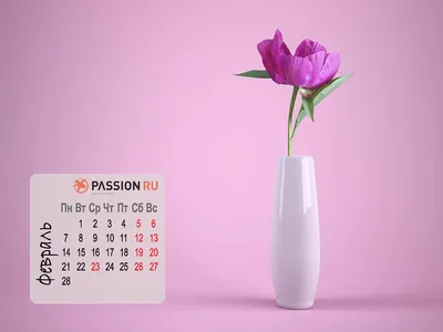 Обои для рабочего стола от Passion.ru: февраль 2022 - Страсти картинки