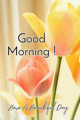 Good Morning | Latest good morning images, Good morning flowers, Good  morning cards картинки