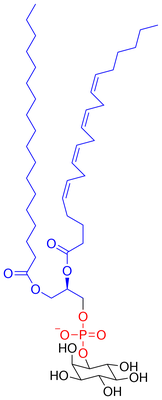 File:Phosphatidylinositol.svg - Wikipedia картинки