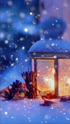 Новогодние живые обои [Video] | Christmas phone wallpaper, Wallpaper iphone  christmas, Winter wallpaper картинки