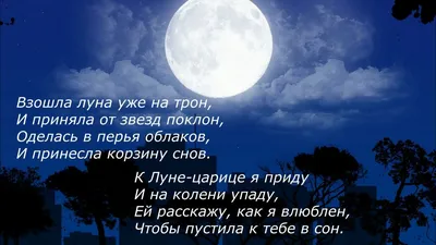 Картинки мирної ночі (53 фото) » Юмор, позитив и много смешных картинок картинки