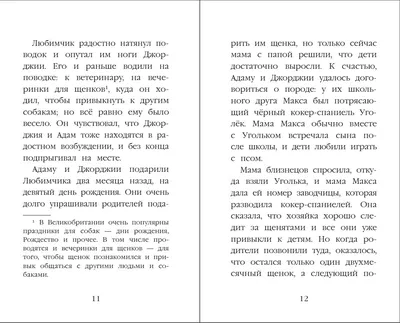 Иллюстрация 22 из 31 для Щенок Любимчик, или Давай мириться! - Холли Вебб |  Лабиринт - книги. Источник: картинки