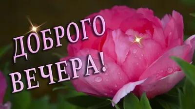 🌺 ДОБРОГО ВЕЧЕРА 🌺 ПРИЯТНОГО ВЕЧЕРА 🌺 ДОБРОГО ВЕЧЕРА И ХОРОШЕГО  НАСТРОЕН... | Открытки, Спокойной ночи, Ночь картинки