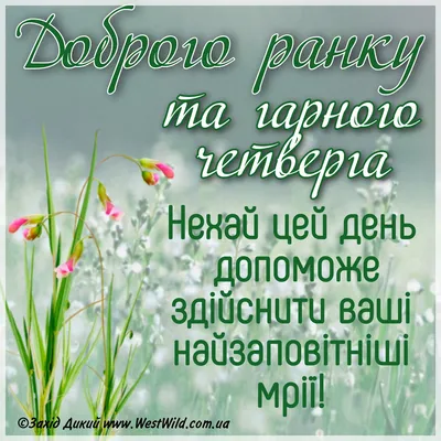 ДОБРОГО РАНКУ ЧЕТВЕРГА: картинки, листівки, побажання - West Wild | Захід  Дикий картинки