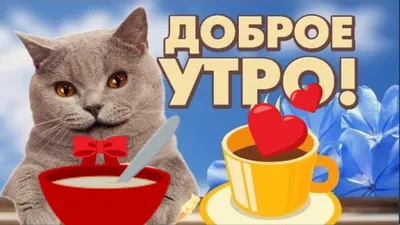 Картинка - Доброе утро! Котик с сердечками. картинки